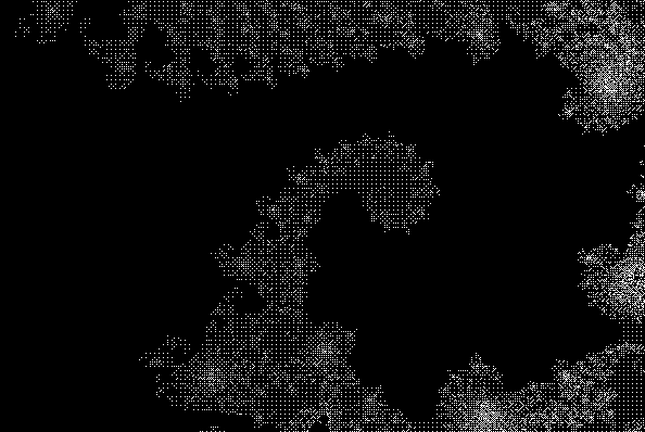 genuary2026.04: lowres